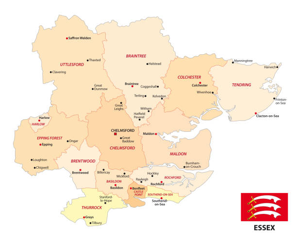 administrative vector map of the english county essex with flag